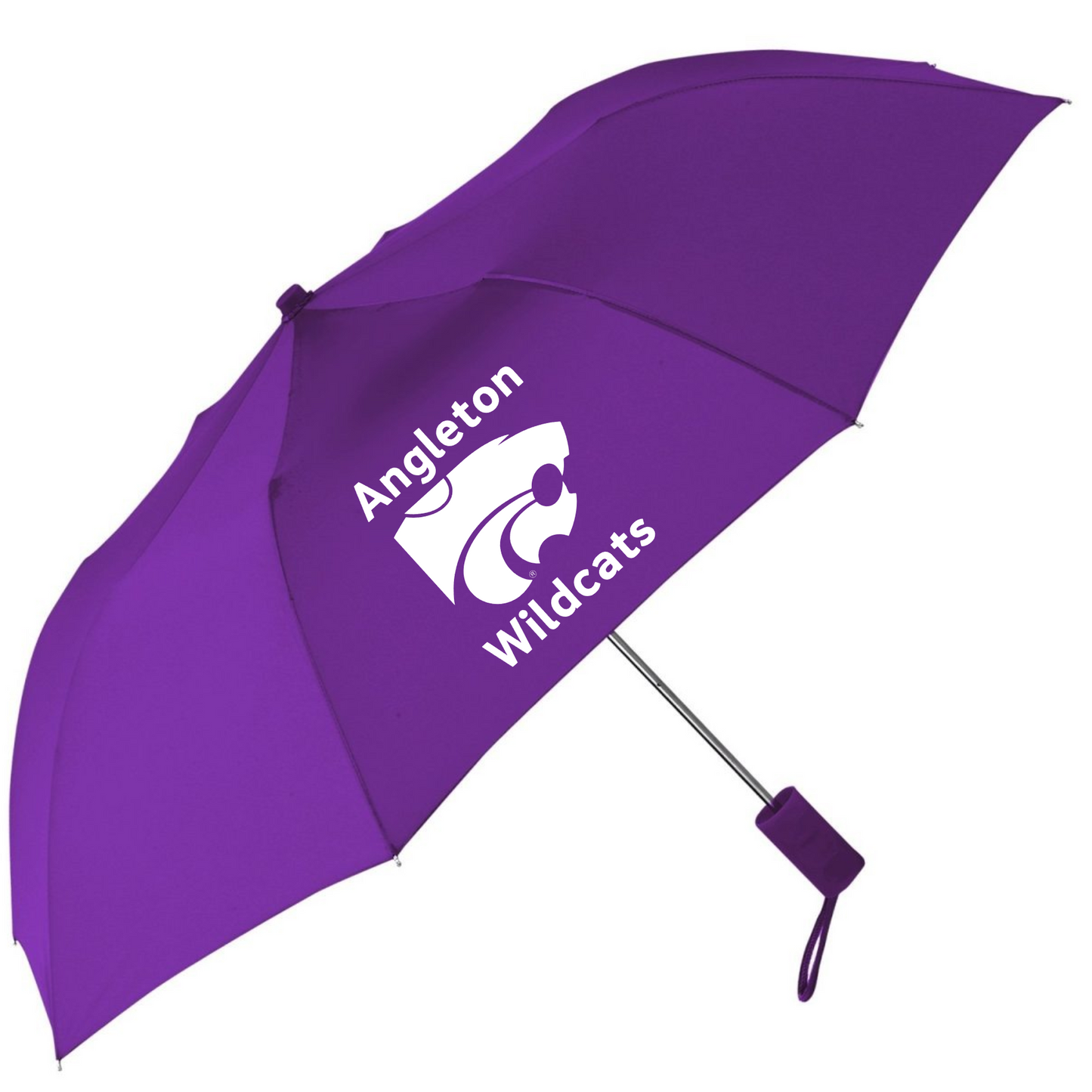 Clear Tote Stadium Bags