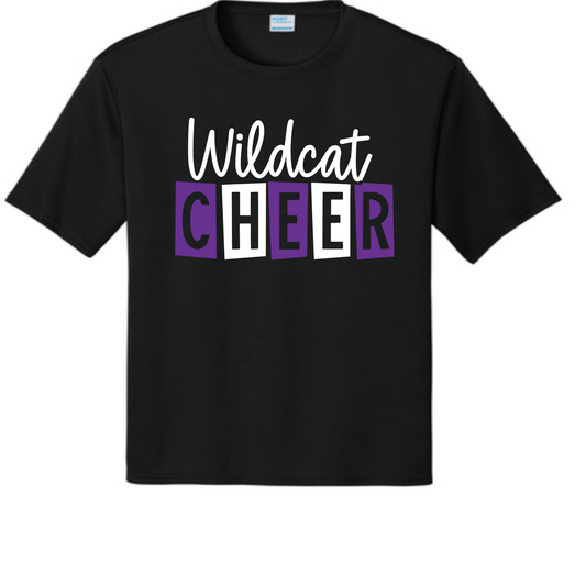 AHS Cheer Wildcat 2027